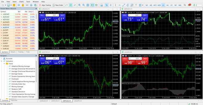 MetaTrader’s main panel