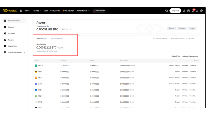 Account types on WEEX