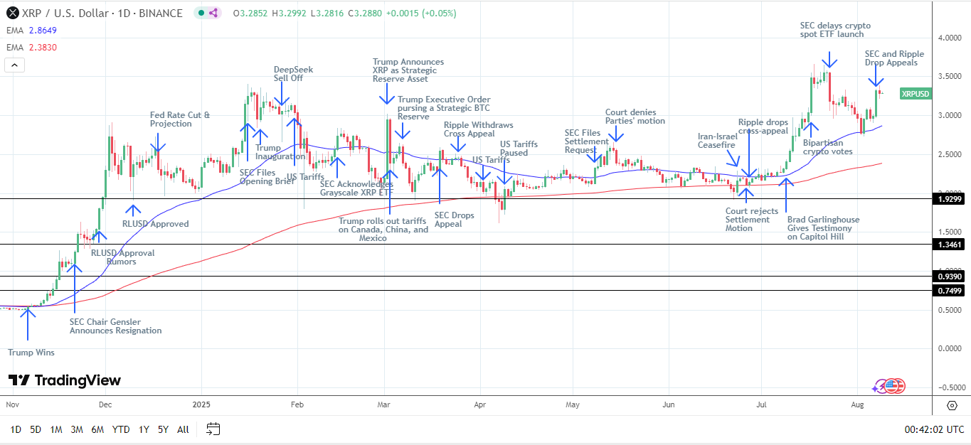 XRP Daily Chart affirms bullish price signals.