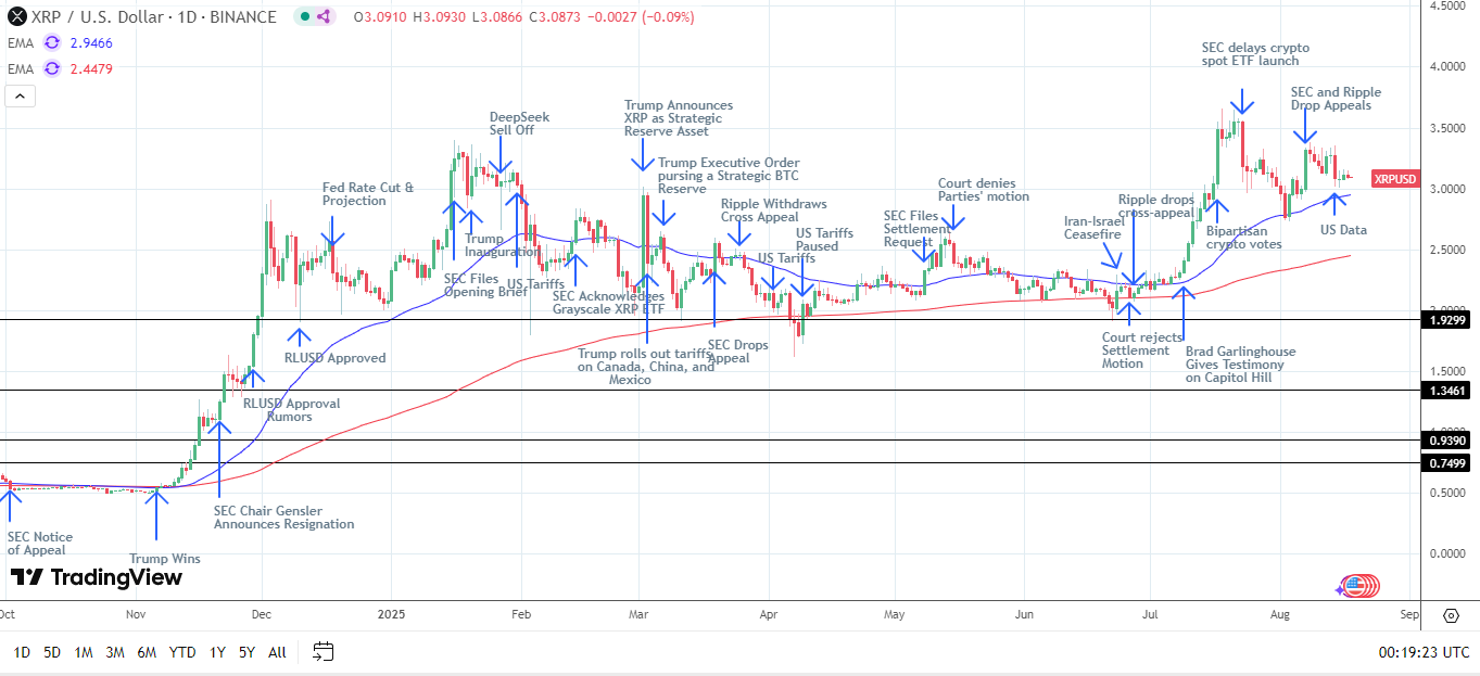 XRP Daily Chart affirms bullish price signals.