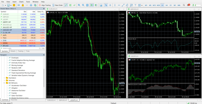 MetaTrader’s main panel