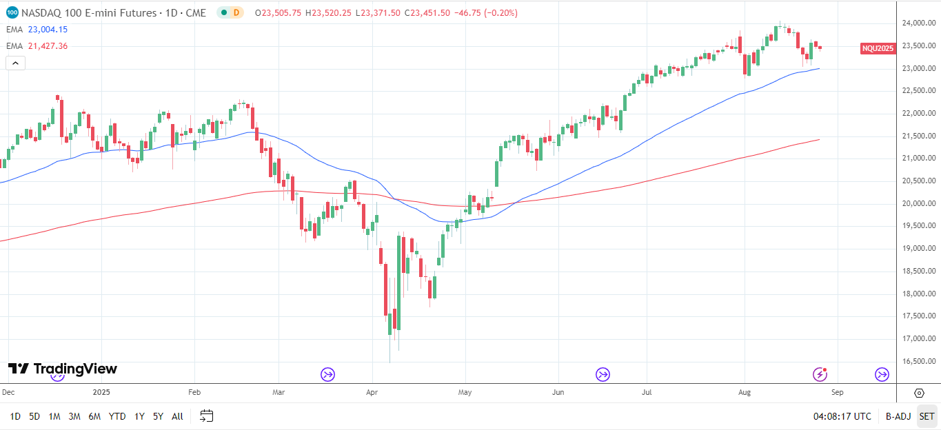 Nasdaq 100 mini slips