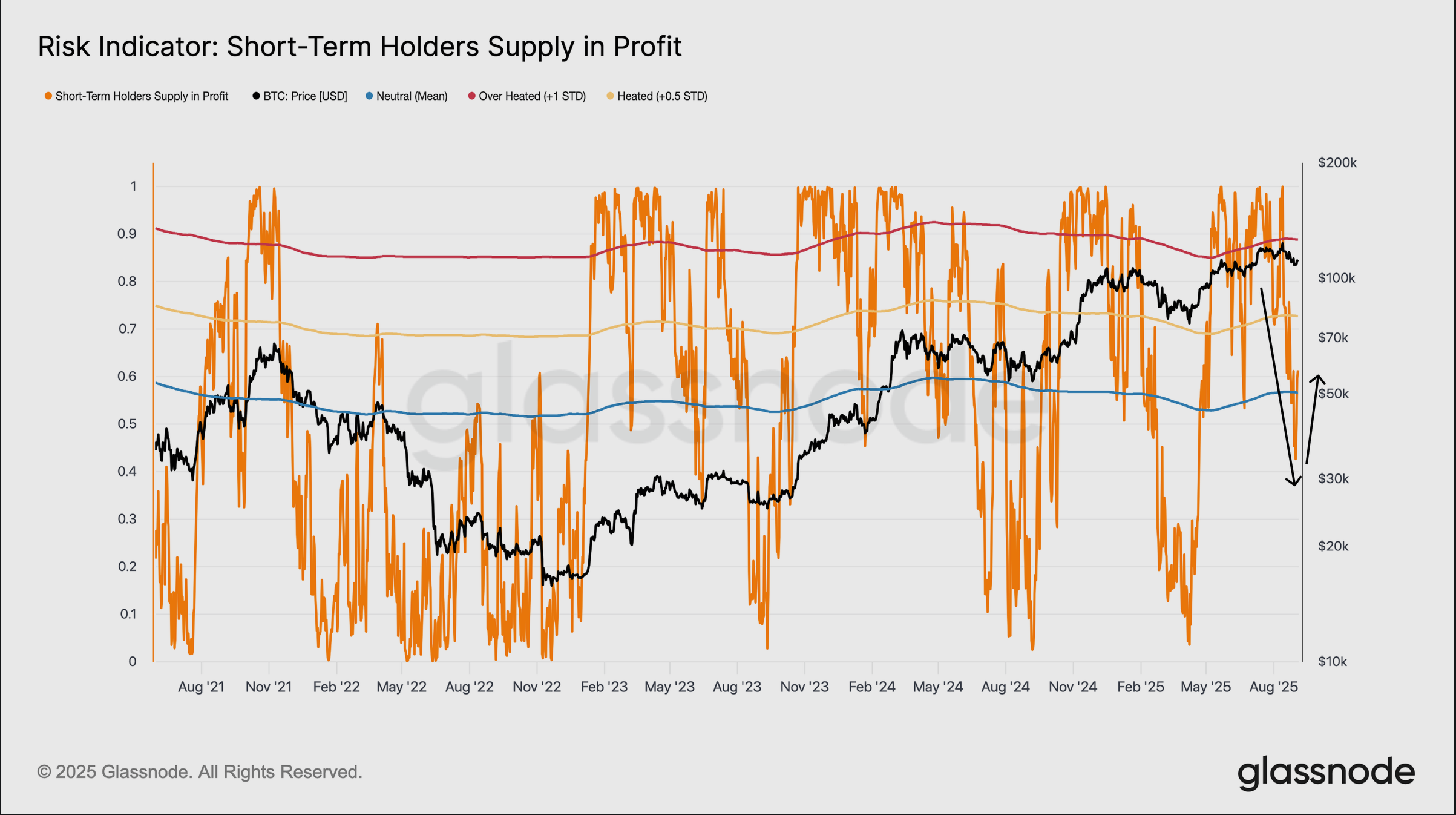 Bitcoin's short-term holders' supply in profit