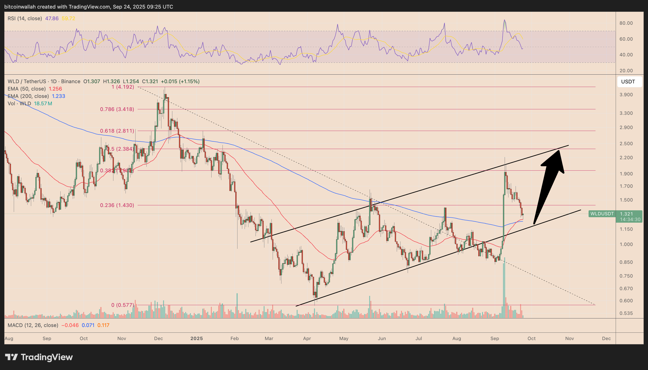WLDUSDT daily price chart