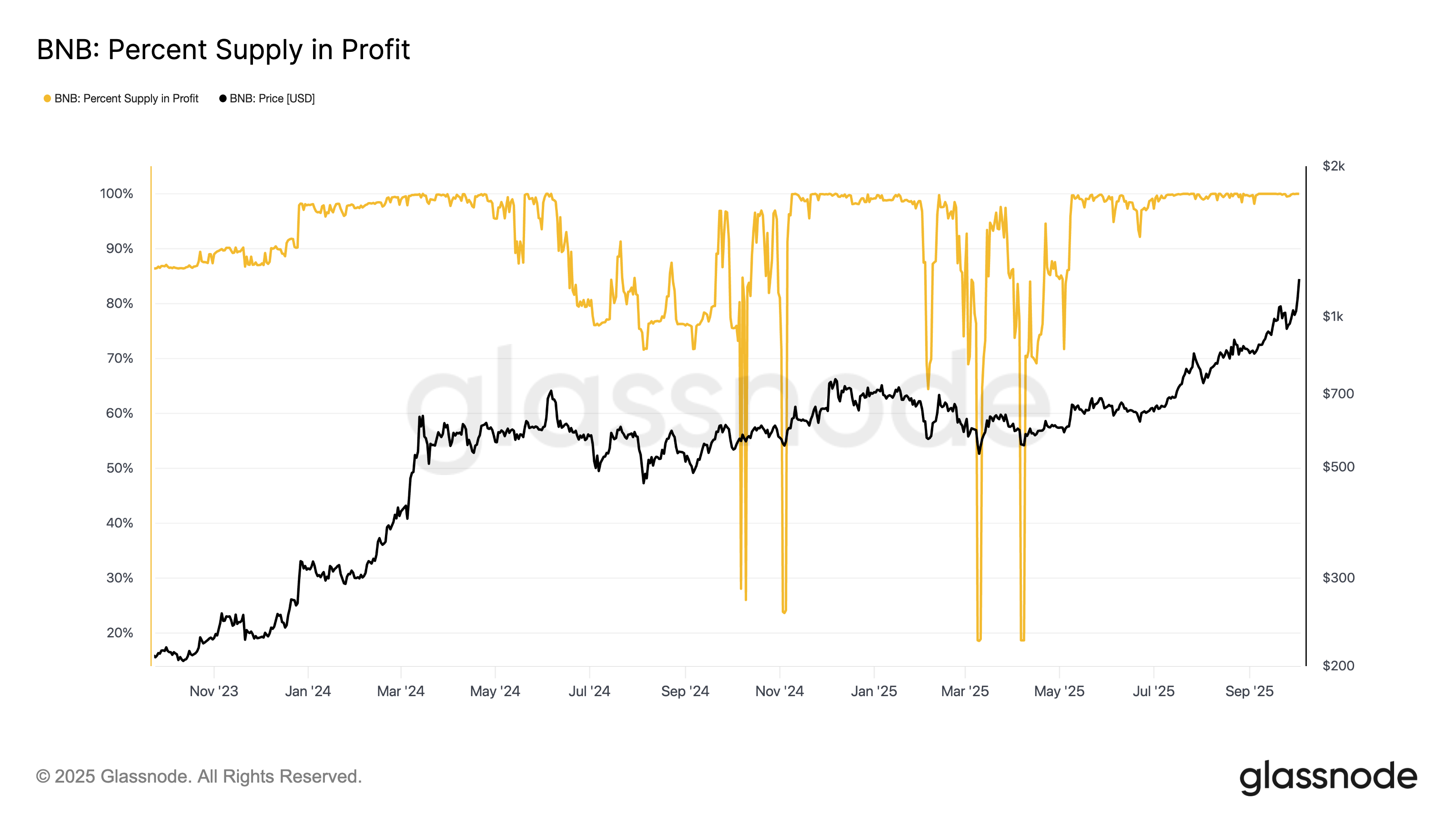 BNB percent supply in profits
