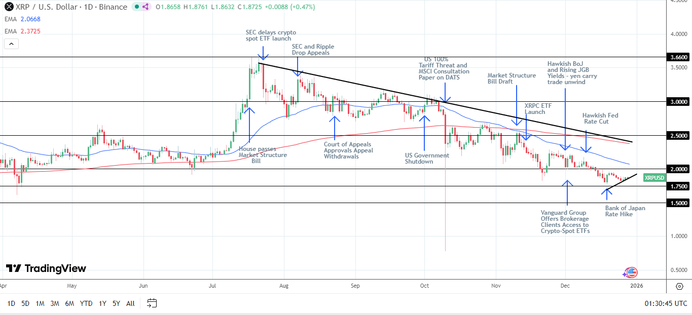 XRP Daily Chart affirms bearish price signals.