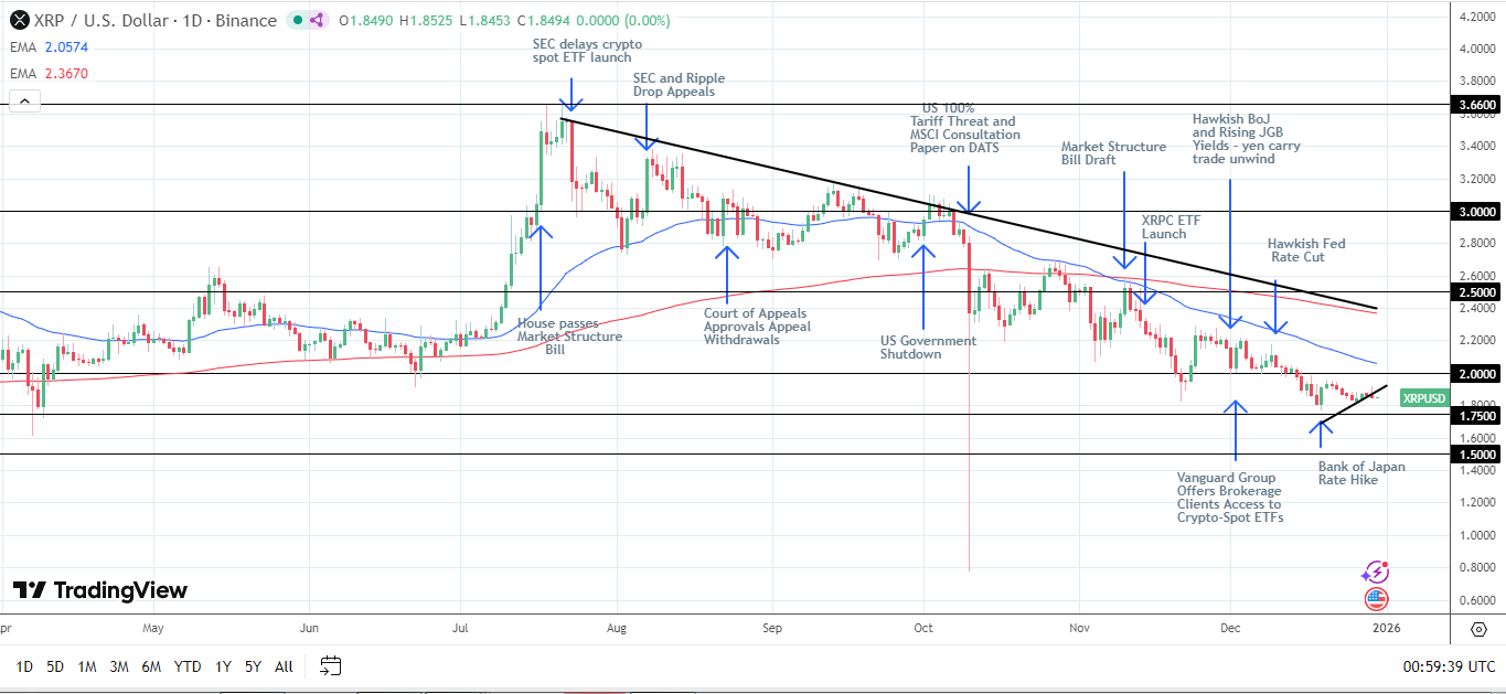 XRP Daily Chart affirms bearish price signals.