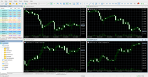 MetaTrader’s main panel