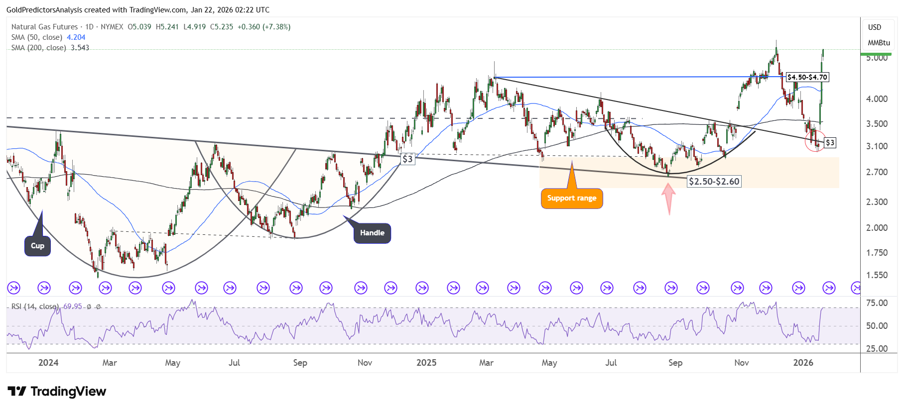 Natural Gas NG Daily