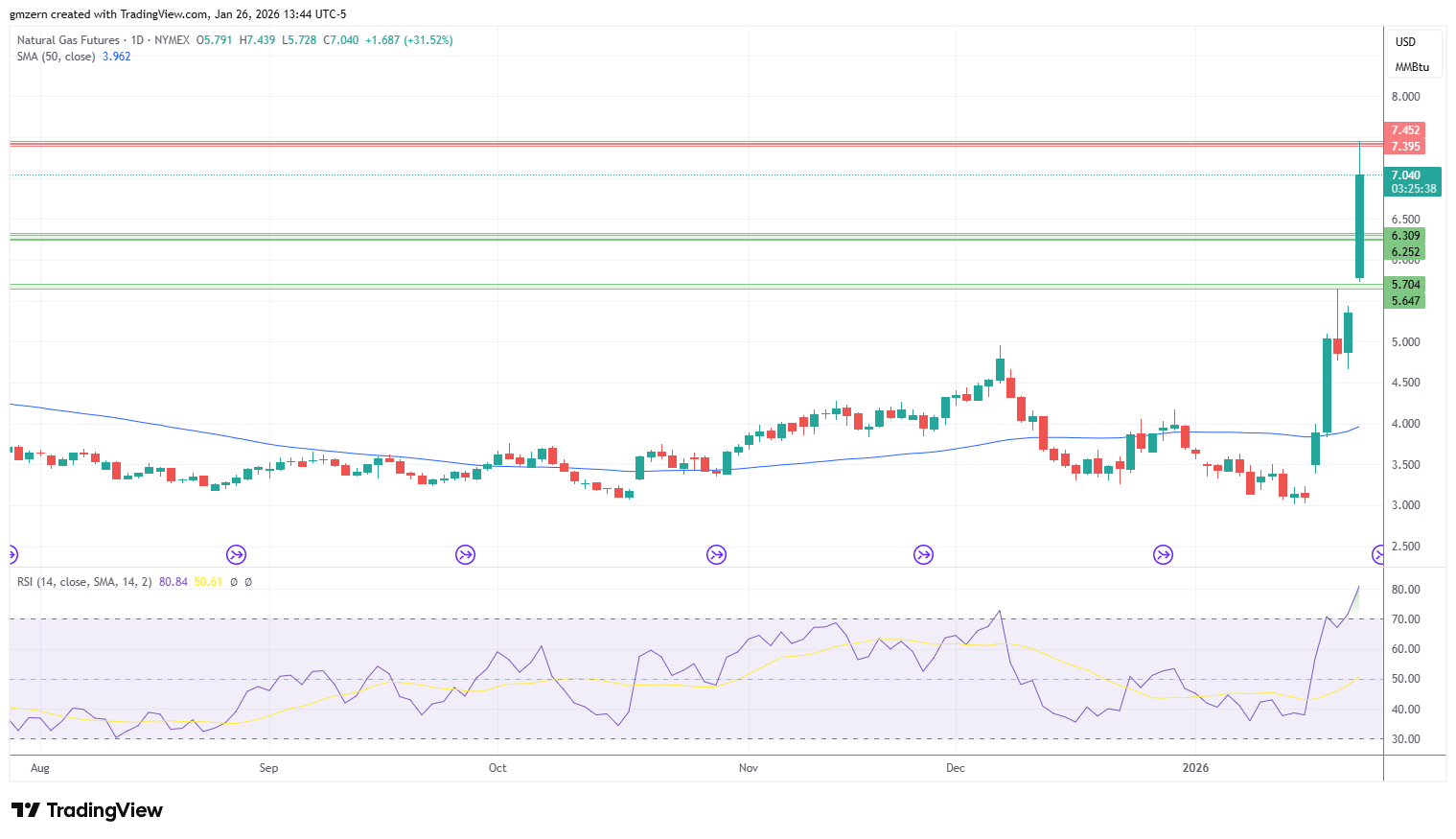 Natural Gas 260126 Daily Chart