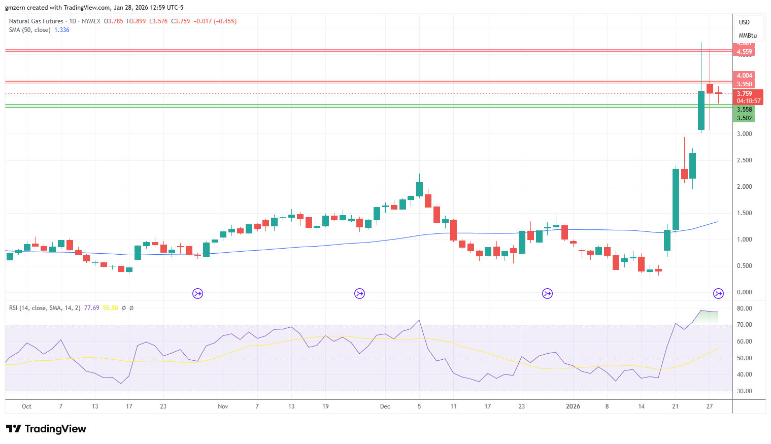 Natural Gas 280126 Daily Chart
