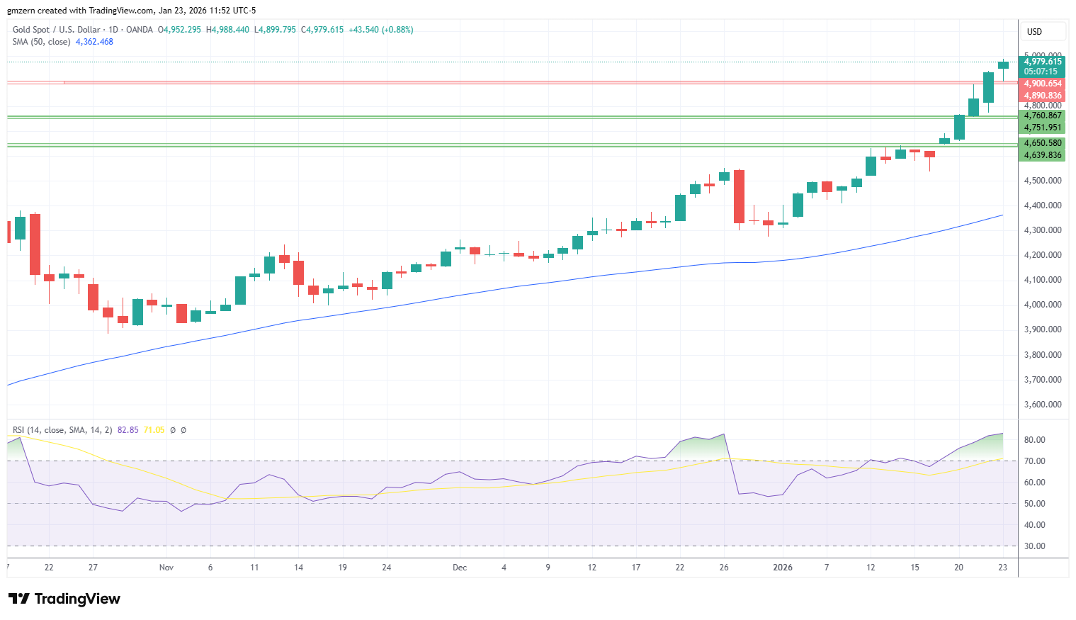 Gold 230126 Daily Chart