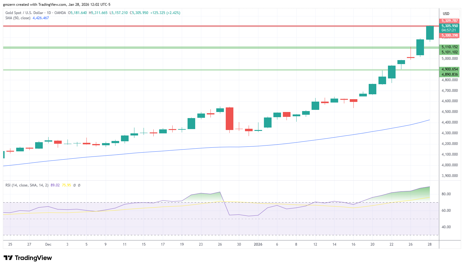 Gold 280126 Daily Chart