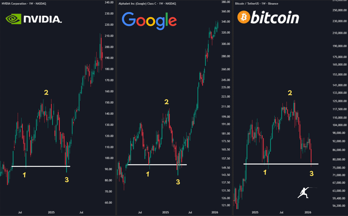 Bitcoin vs. Nvidia and Alphabet chart