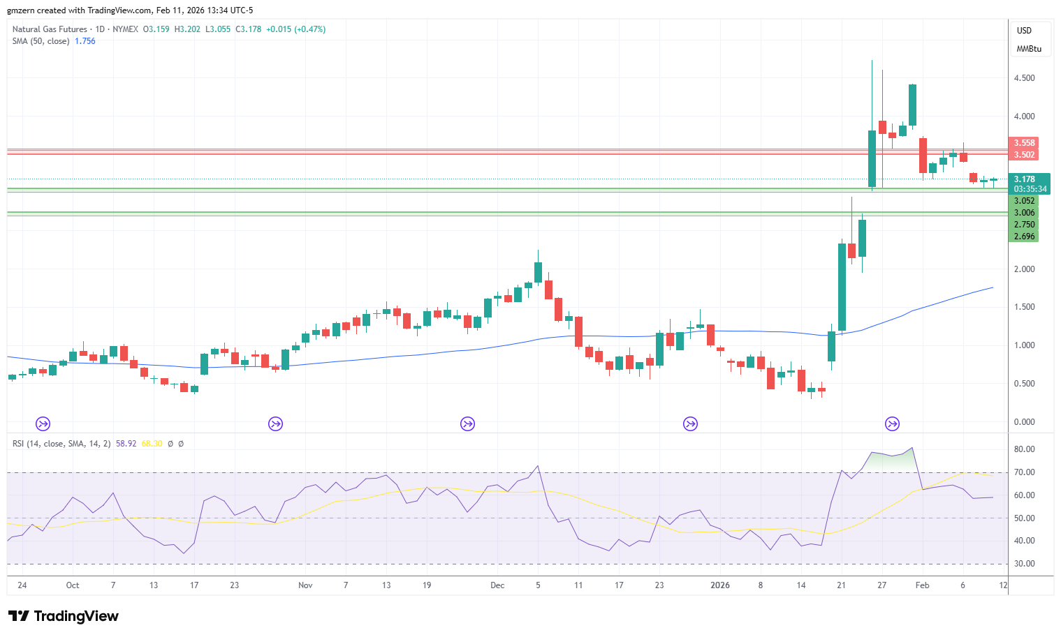 Natural Gas 110226 Daily Chart