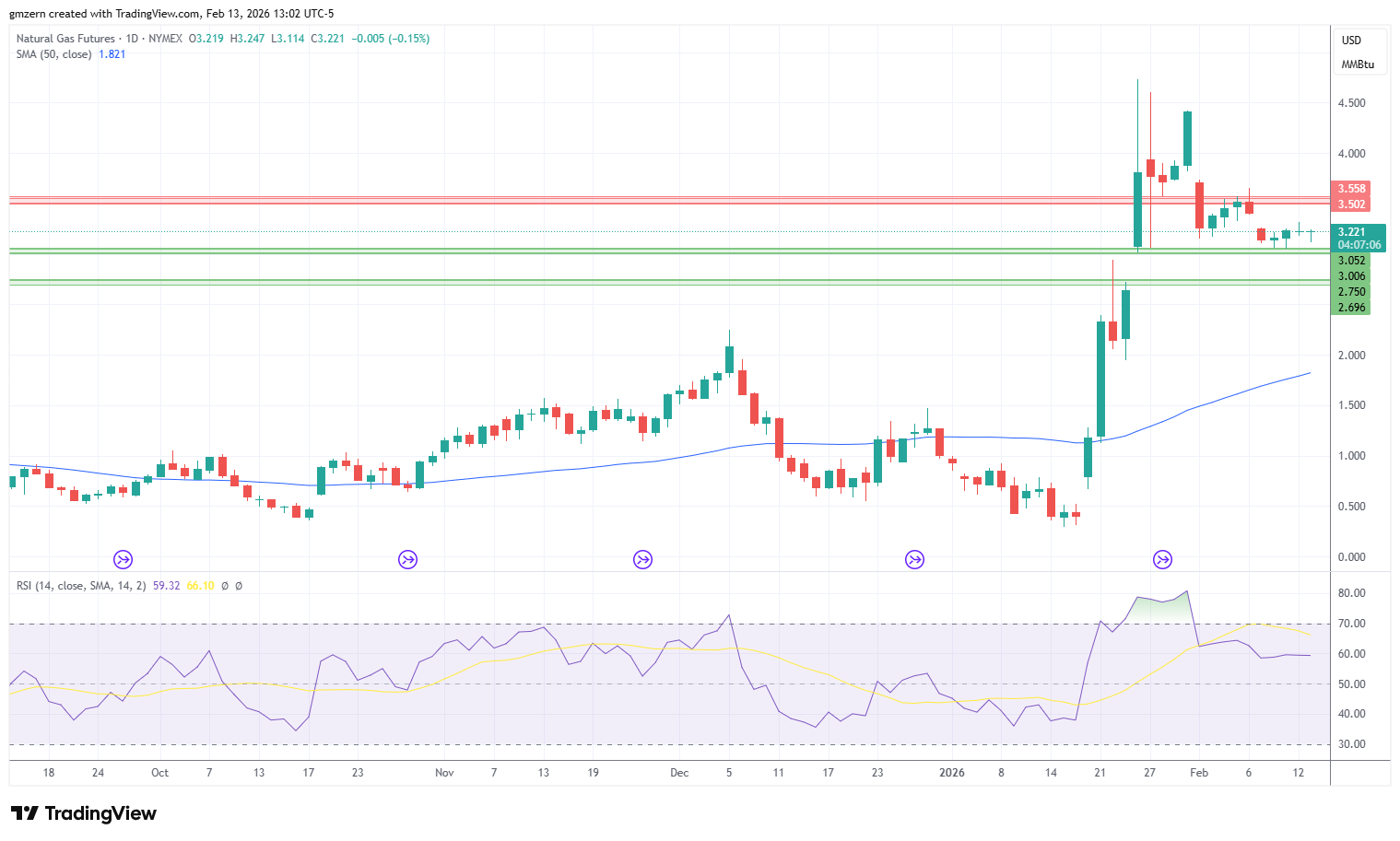 Natural Gas 130226 Daily Chart