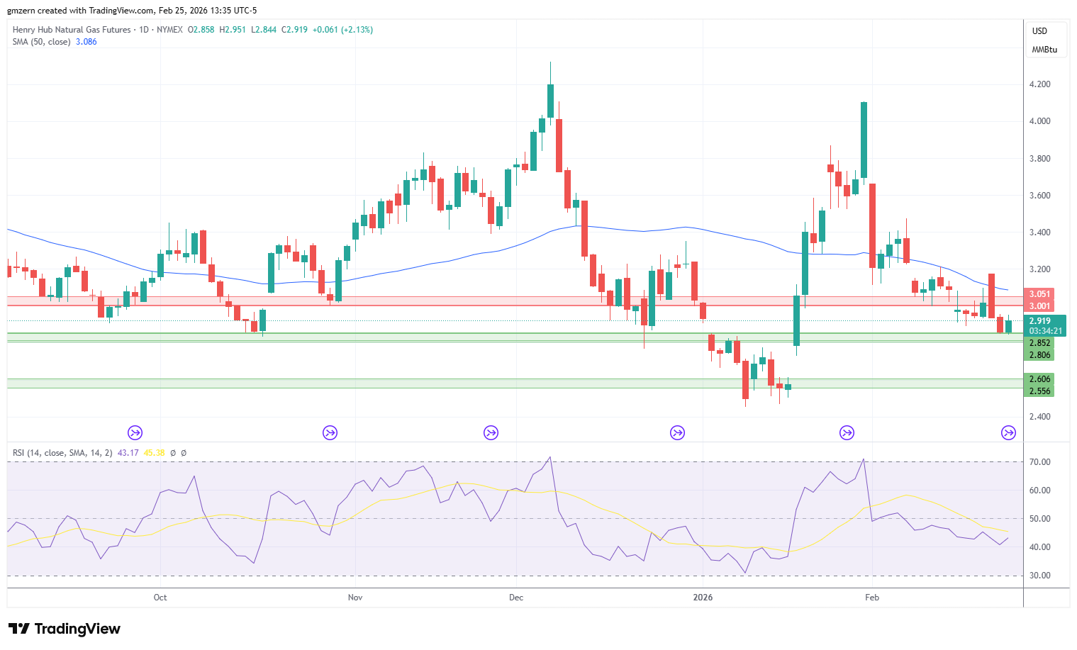 Natural Gas 250226 Daily Chart