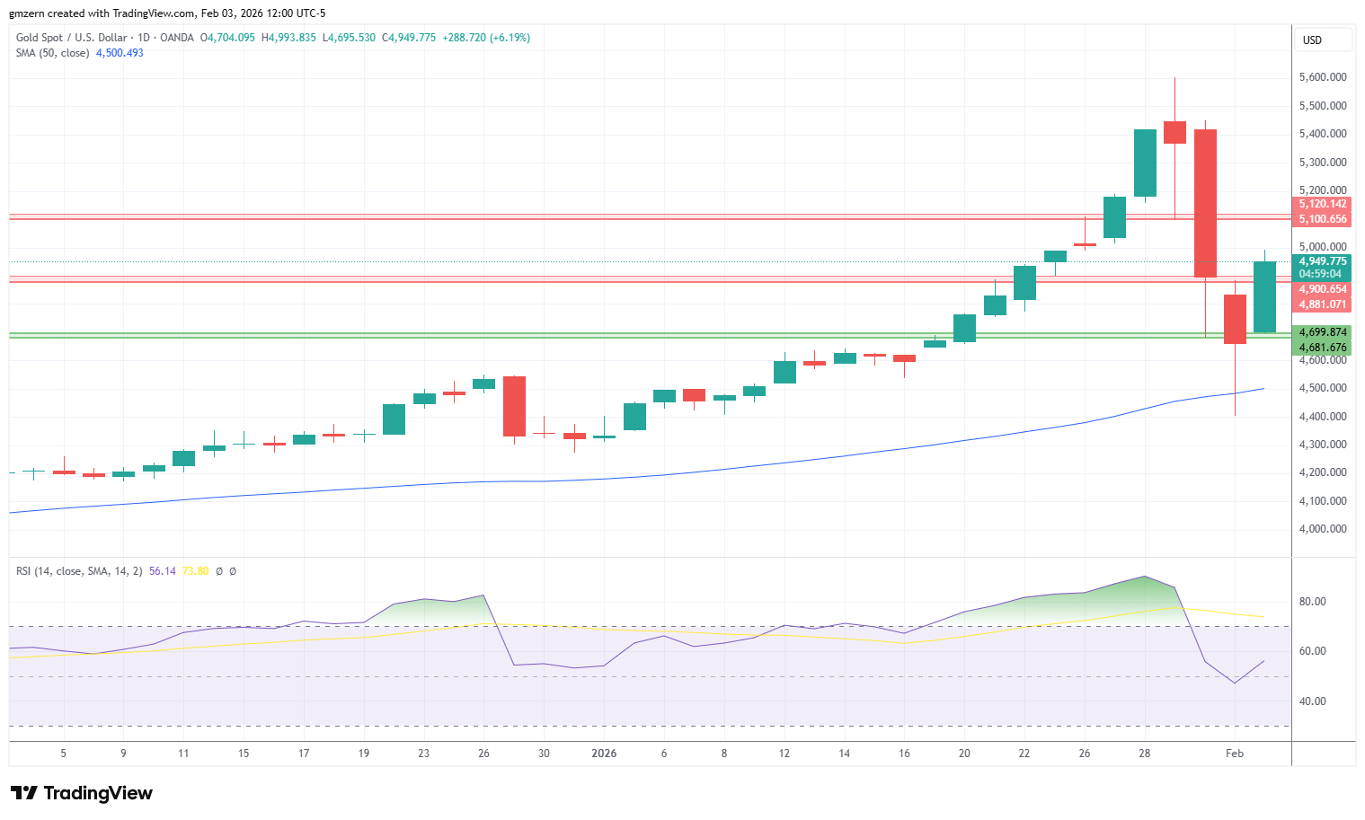 Gold 030226 Daily Chart