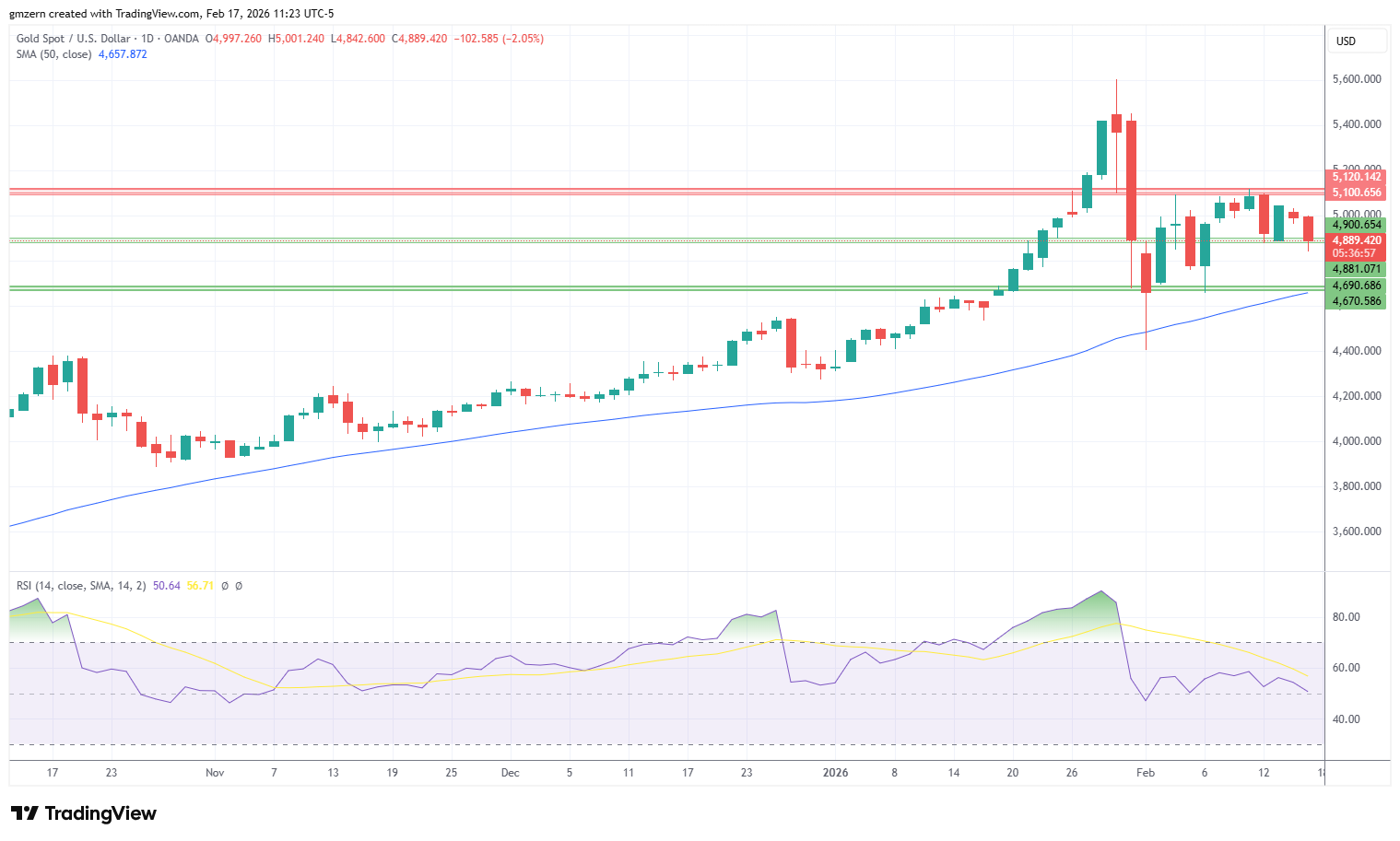 Gold 170226 Daily Chart