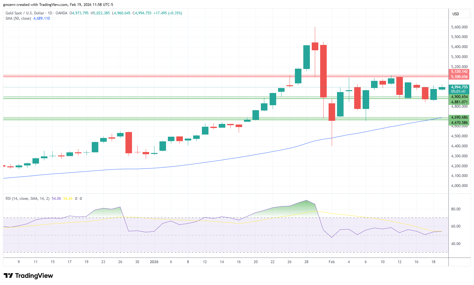 Gold 190226 Daily Chart