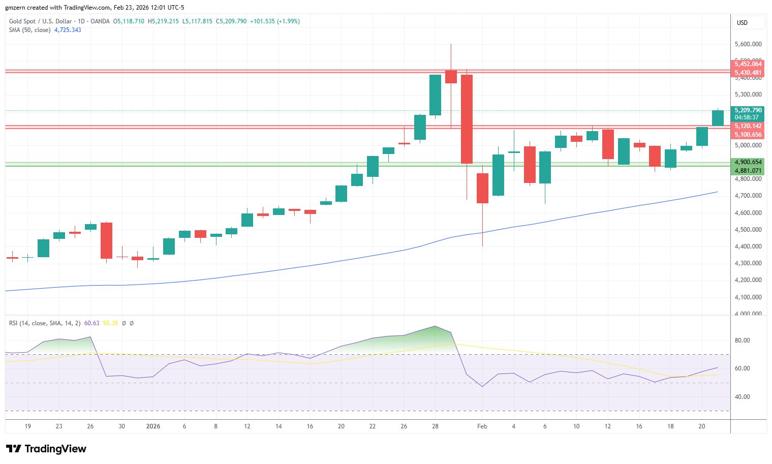 Gold 230226 Daily Chart