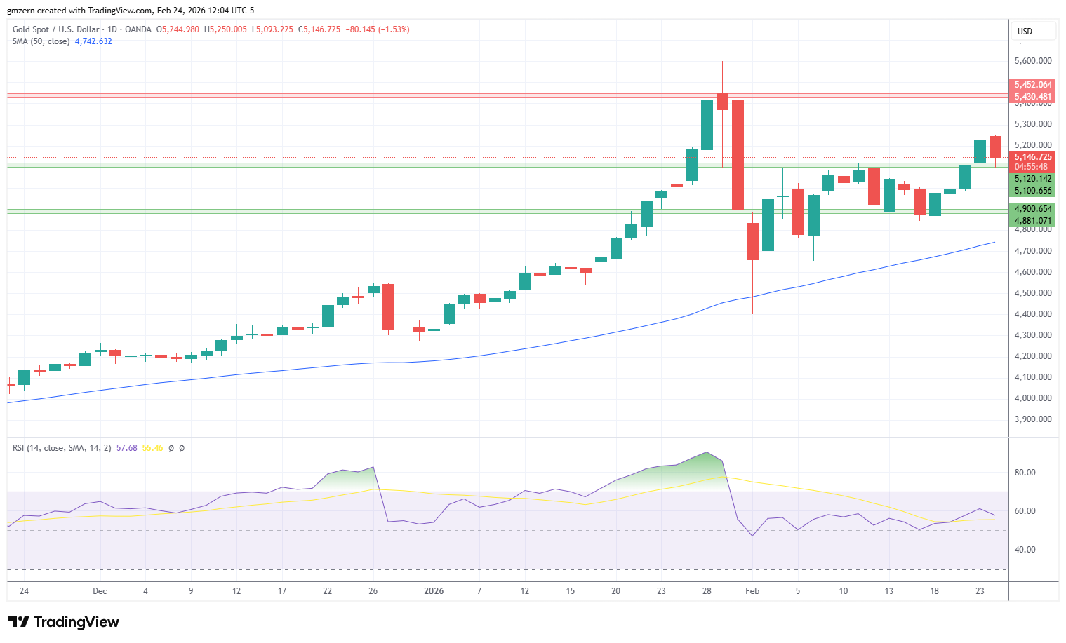 Gold 240226 Daily Chart