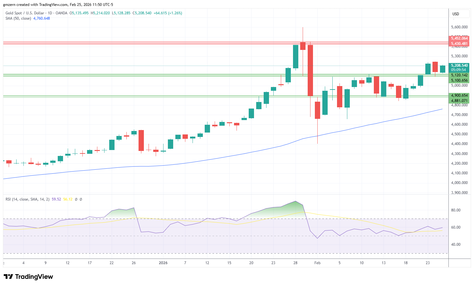 Gold 250226 Daily Chart