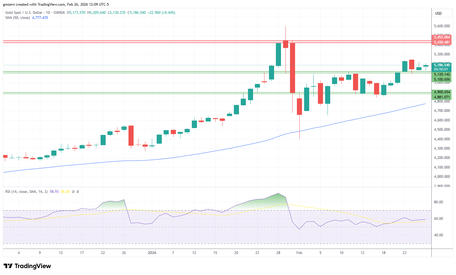 Gold 260226 Daily Chart