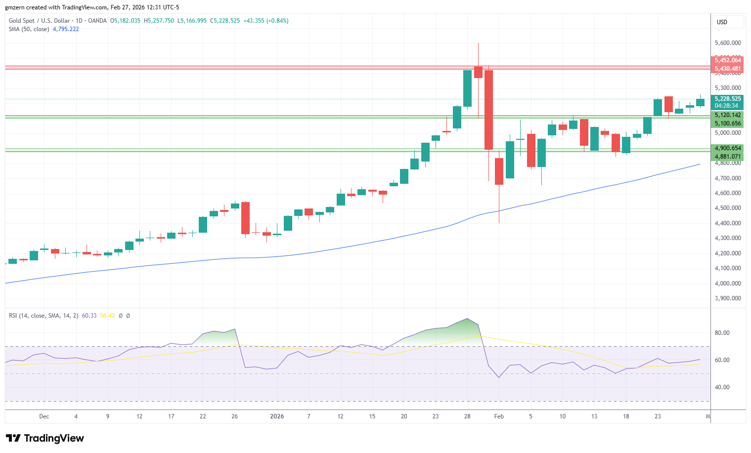 Gold 270226 Daily Chart