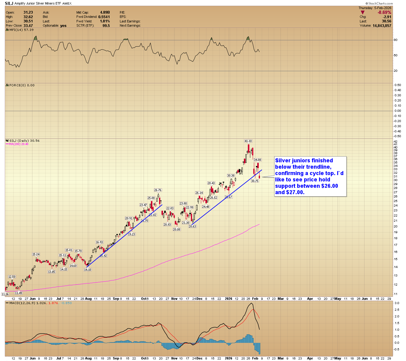 SILJ daily chart. 