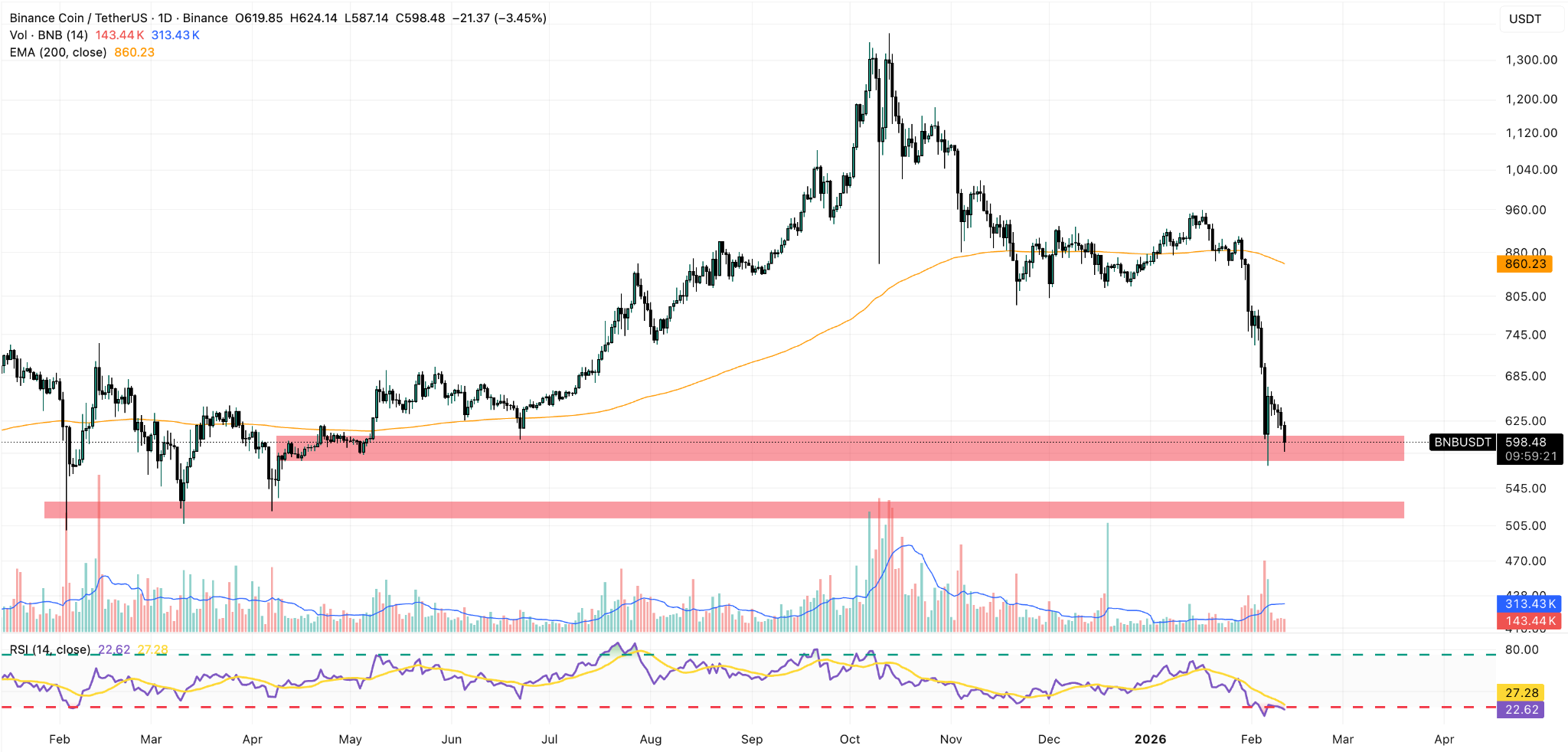 grafico giornaliero BNB