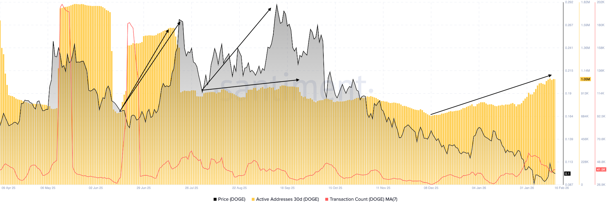 dati on-chain di Dogecoin