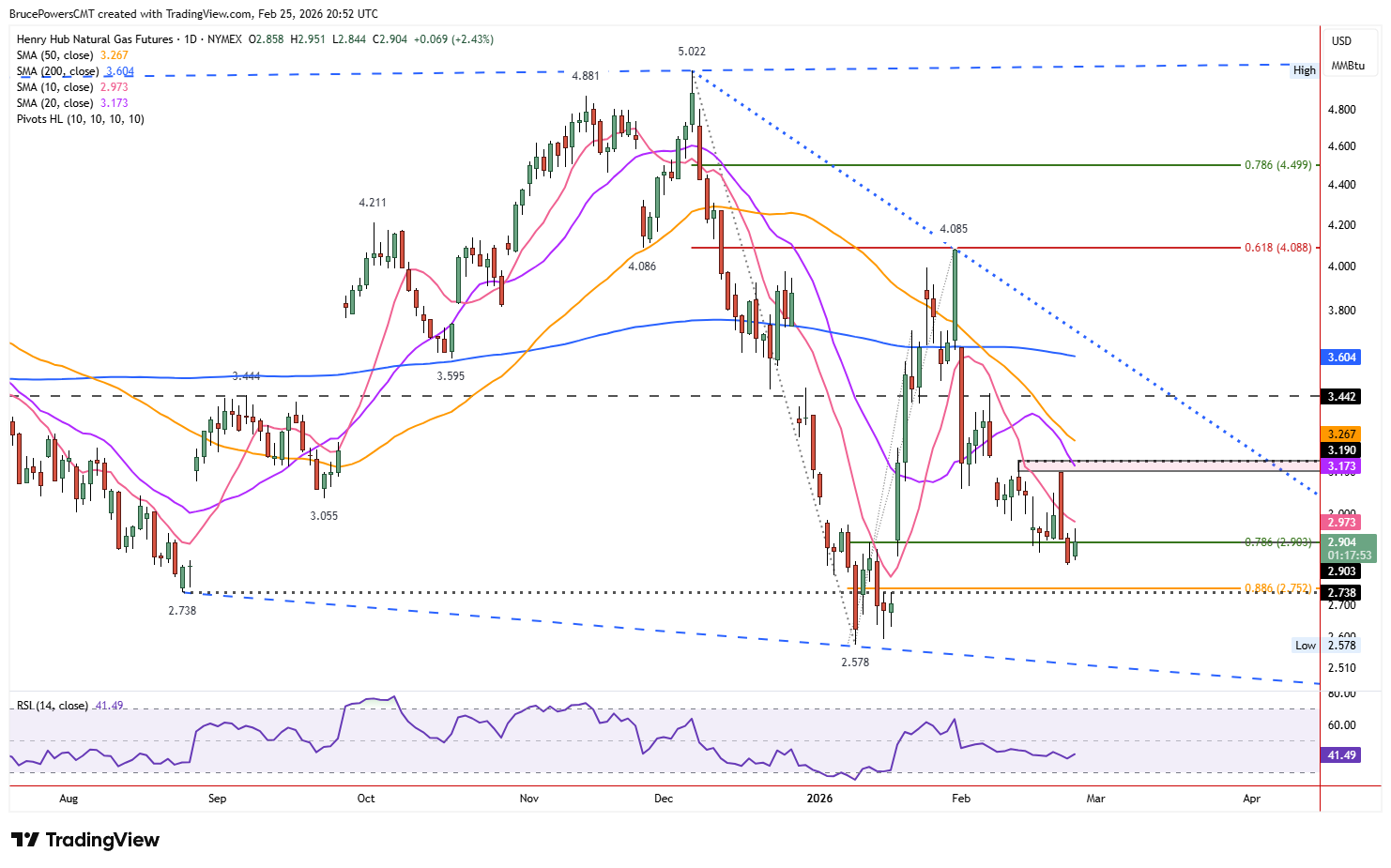 Natural gas futures daily chart shows test of key support.