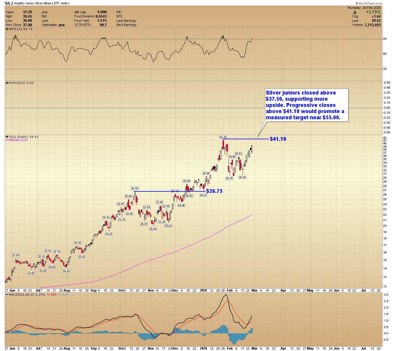 SILJ daily chart. 