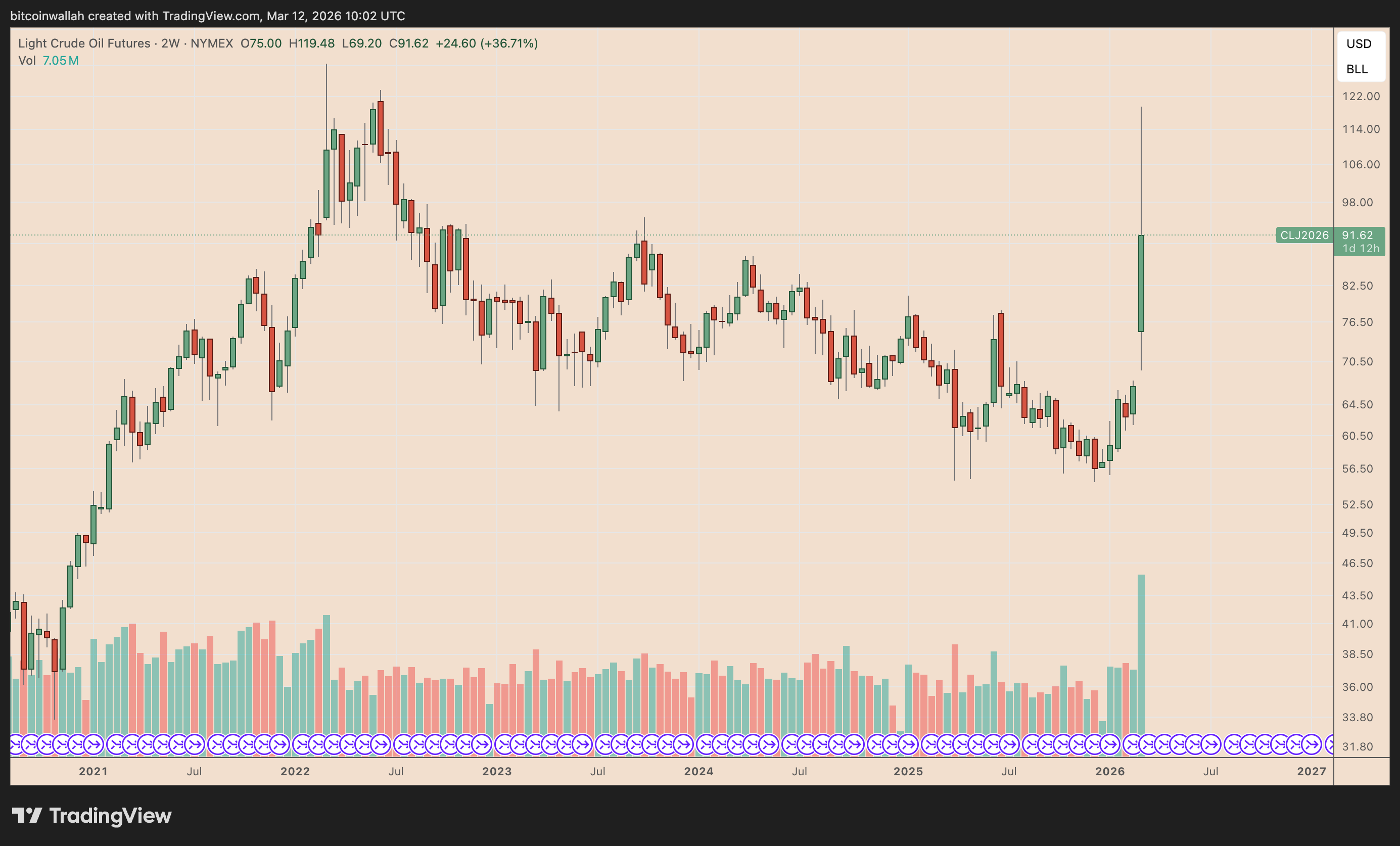 Crude Oil Futures two-week chart