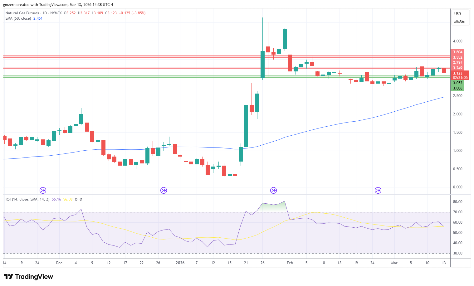 Natural Gas 130326 Daily Chart