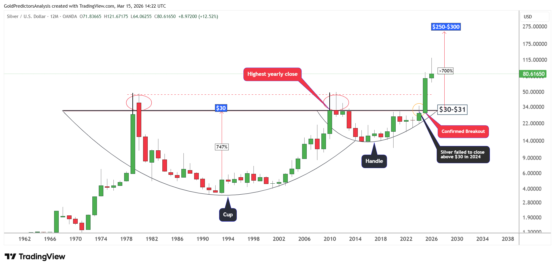 Silver Long Term Picture