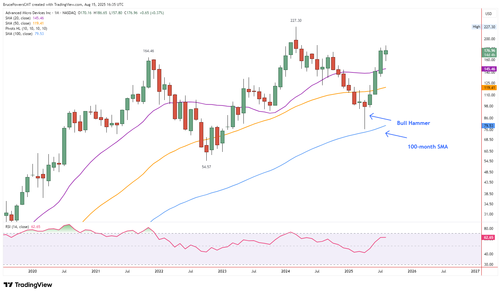 AMD monthly candlestick chart showing a bullish hammer reversal pattern forming in May 2025 after the price bounced off the 100-month moving average, signaling a potential long-term trend reversal to the upside.