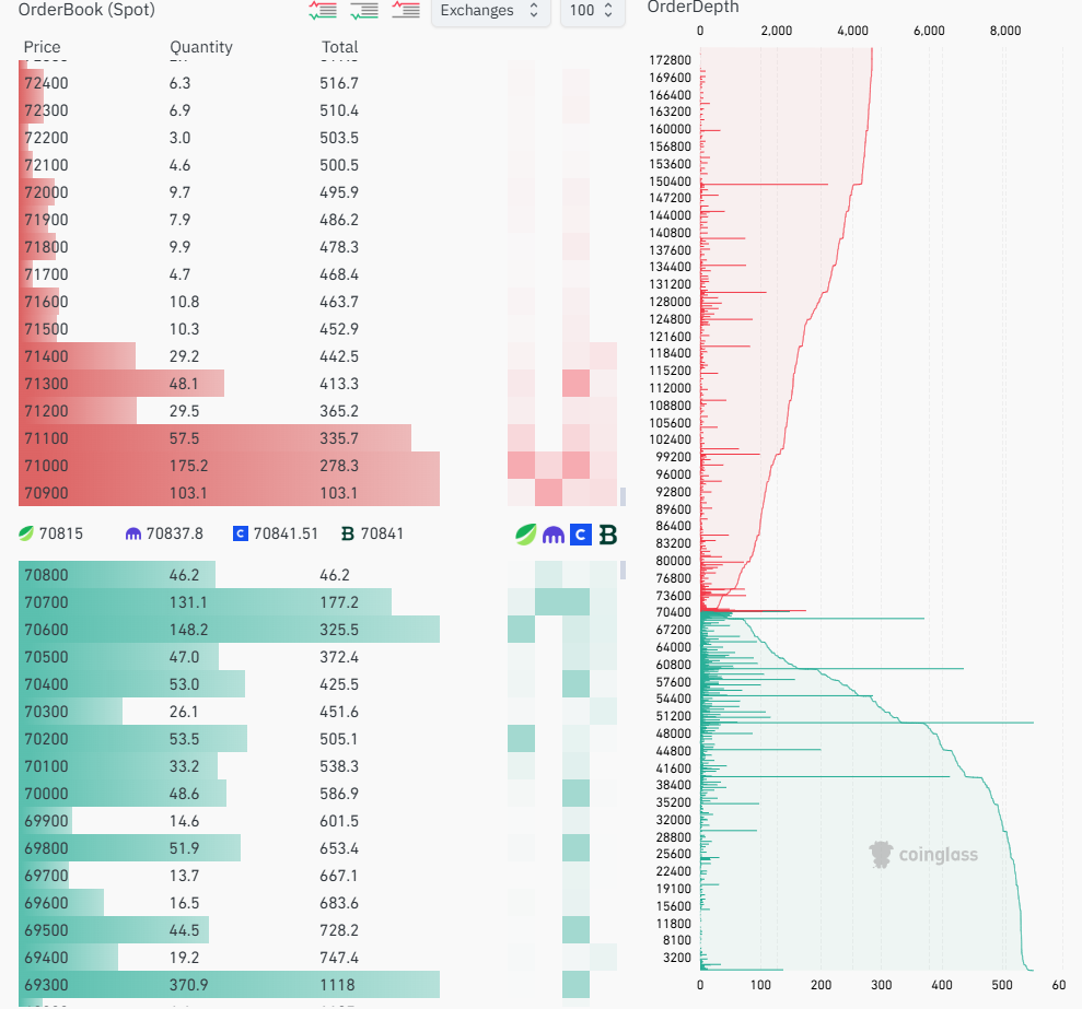 Bitcoin spot order book and depth chart from Coinglass showing significant buy-side support at key price levels.
