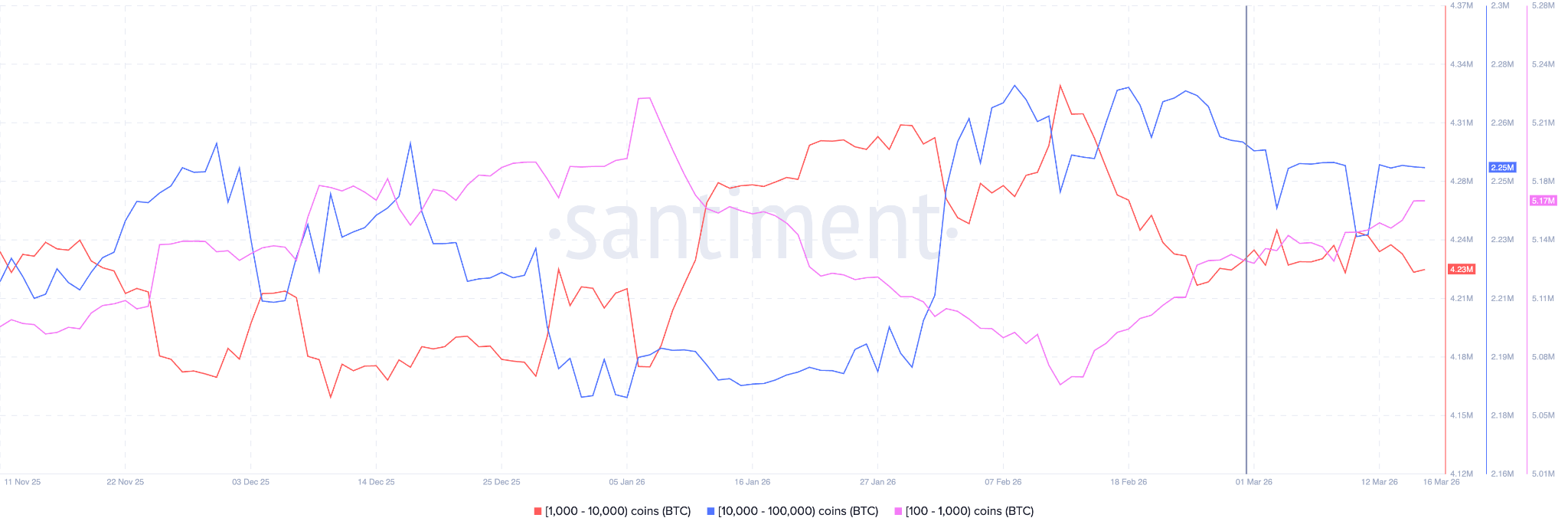 bitcoin whale activity