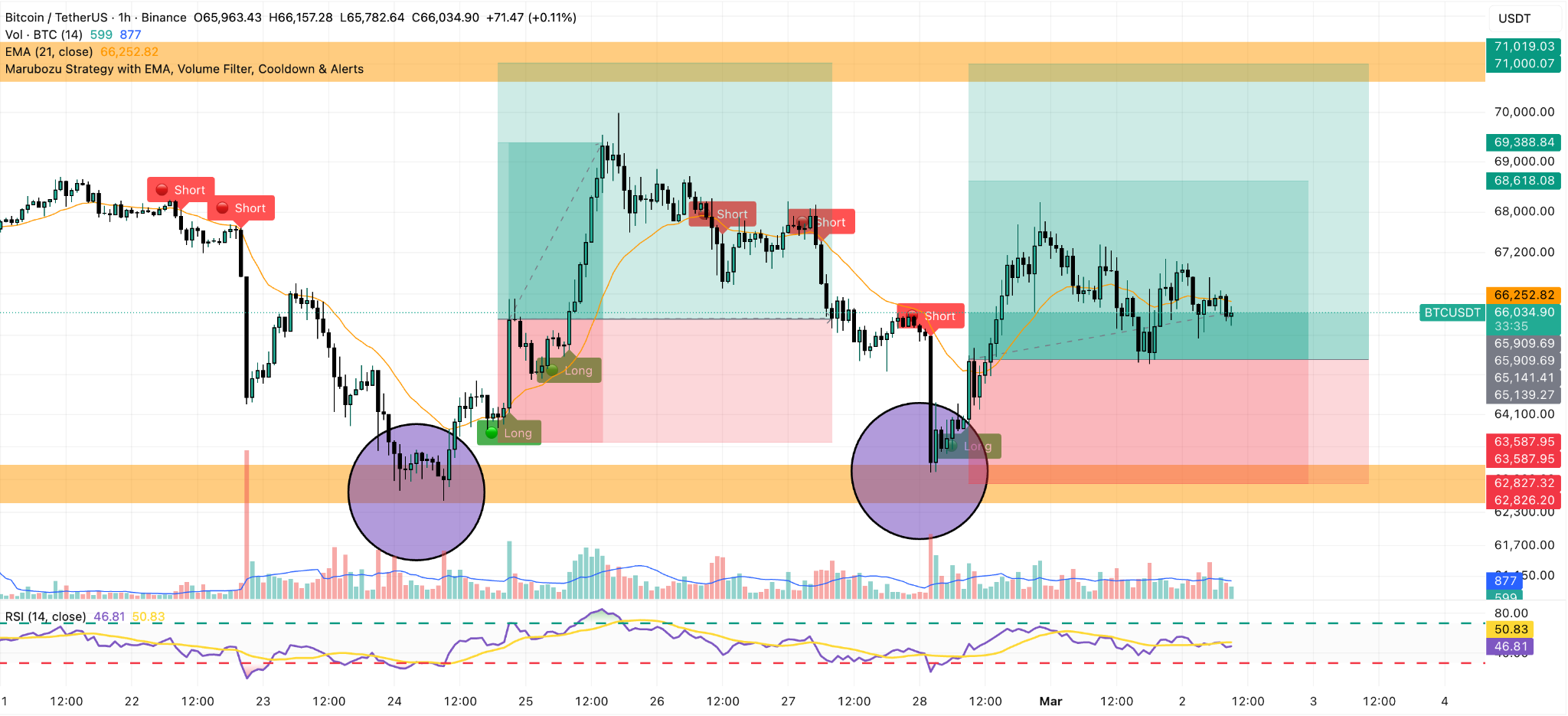 grafico prezzo bitcoin 1 ora
