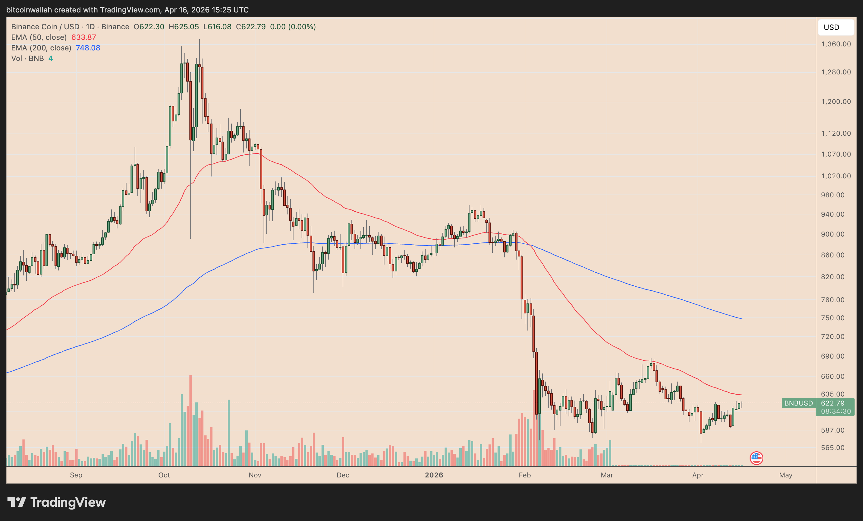 BNB/USD daily price chart