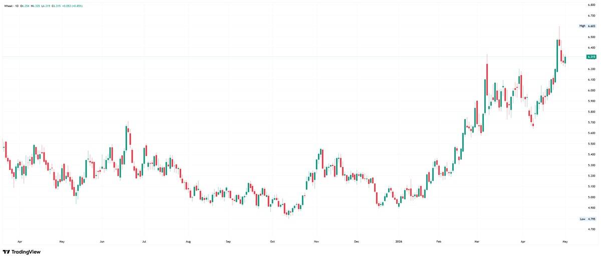 Daily chart of wheat showing recent uptrend.
