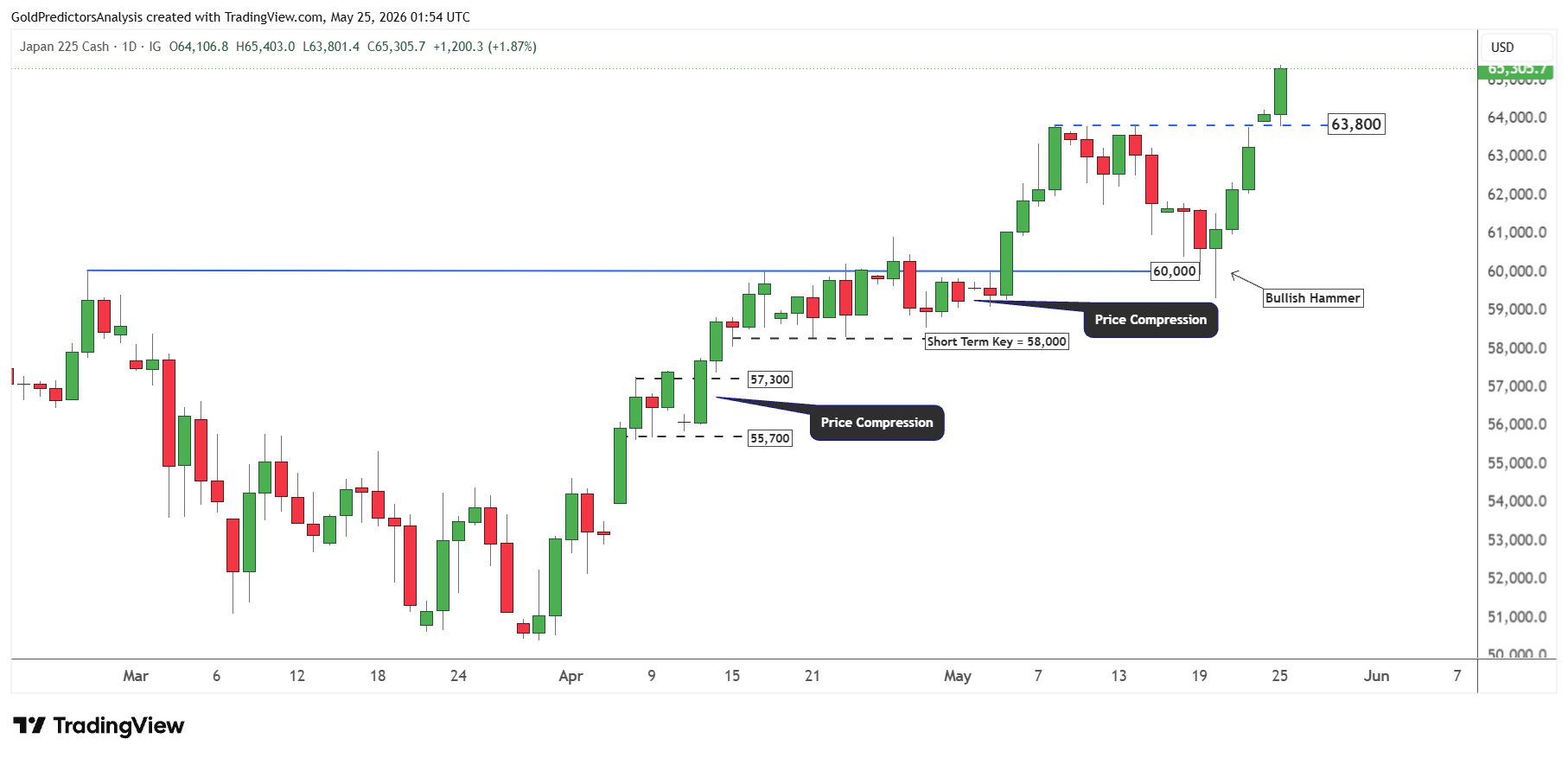 Nikkei daily