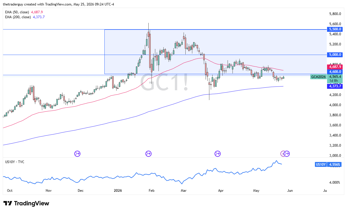 Gold daily candlestick chart. Source: TradingView