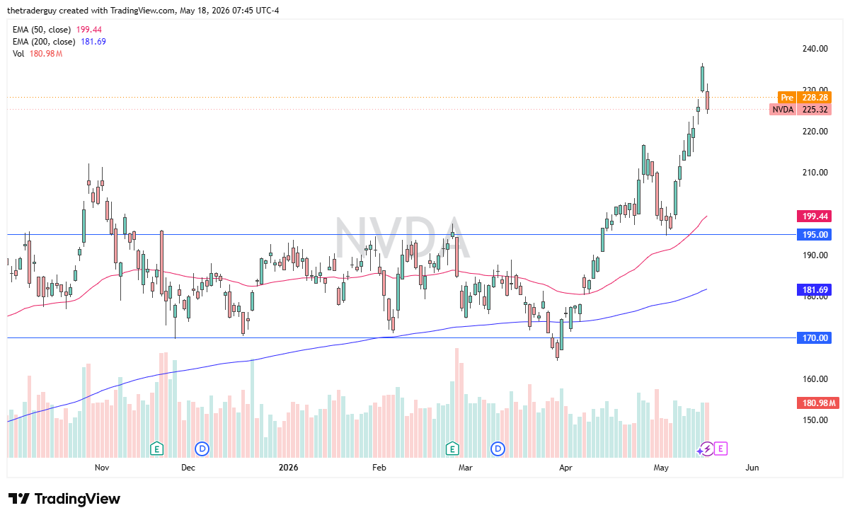 NVDA daily forecast. Source: TradingView