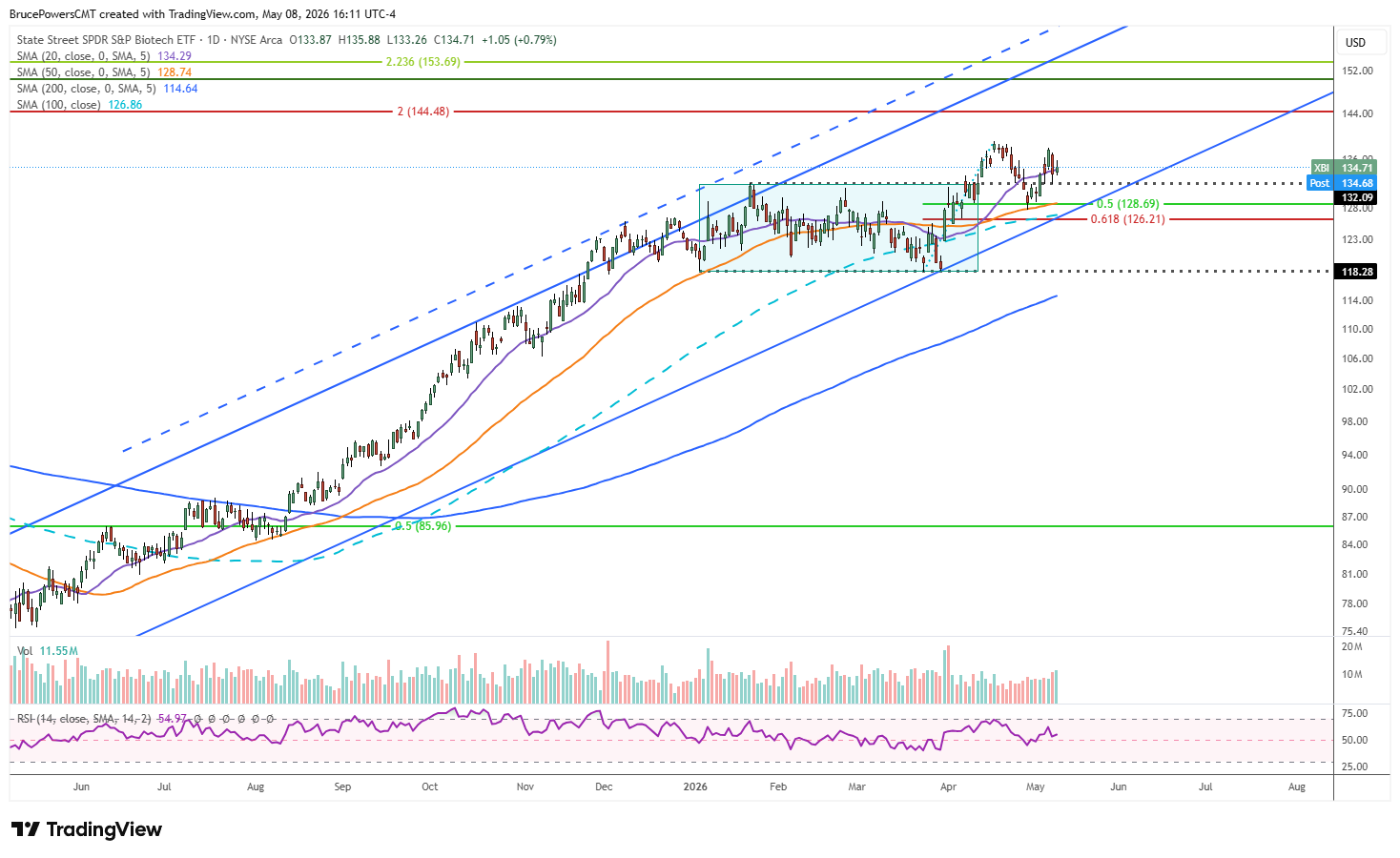XBI daily chart shows first pullback after key new high breakout, followed by strength