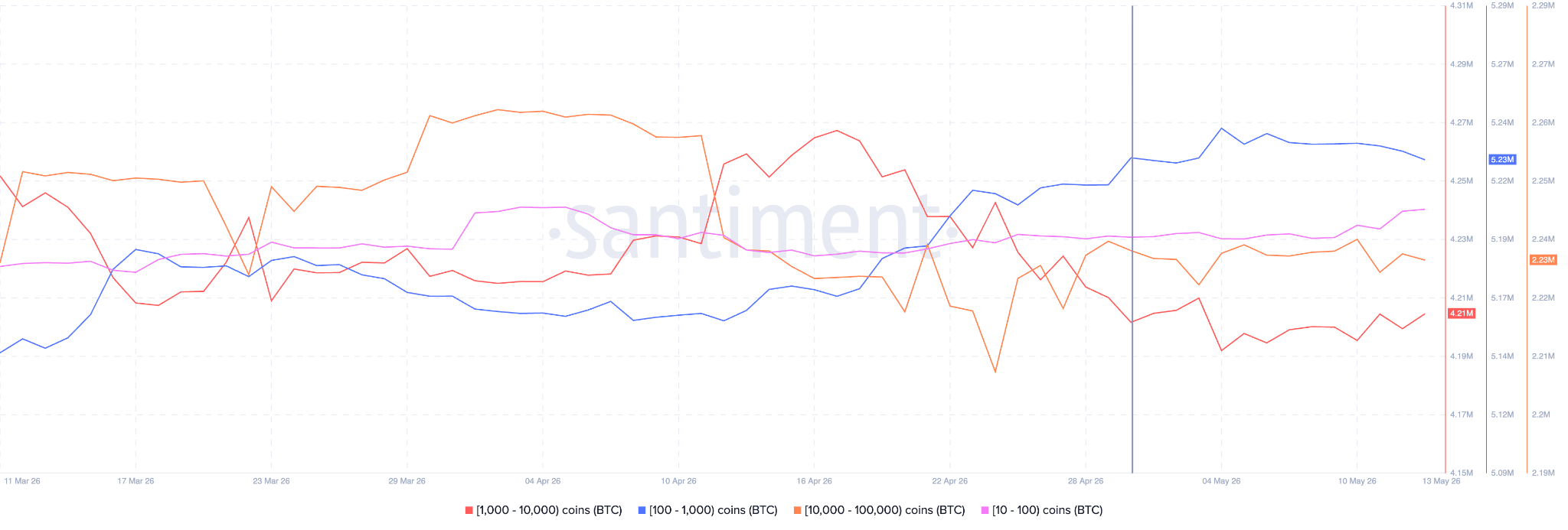 BTC Whale Activity 