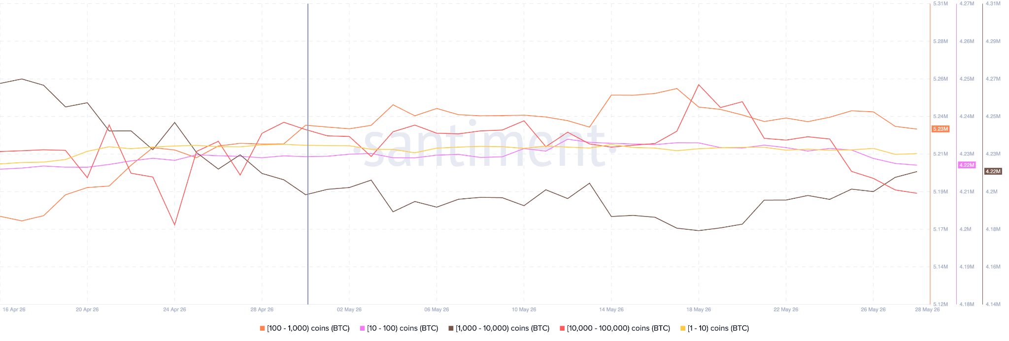 Bitcoin Whale Holdings