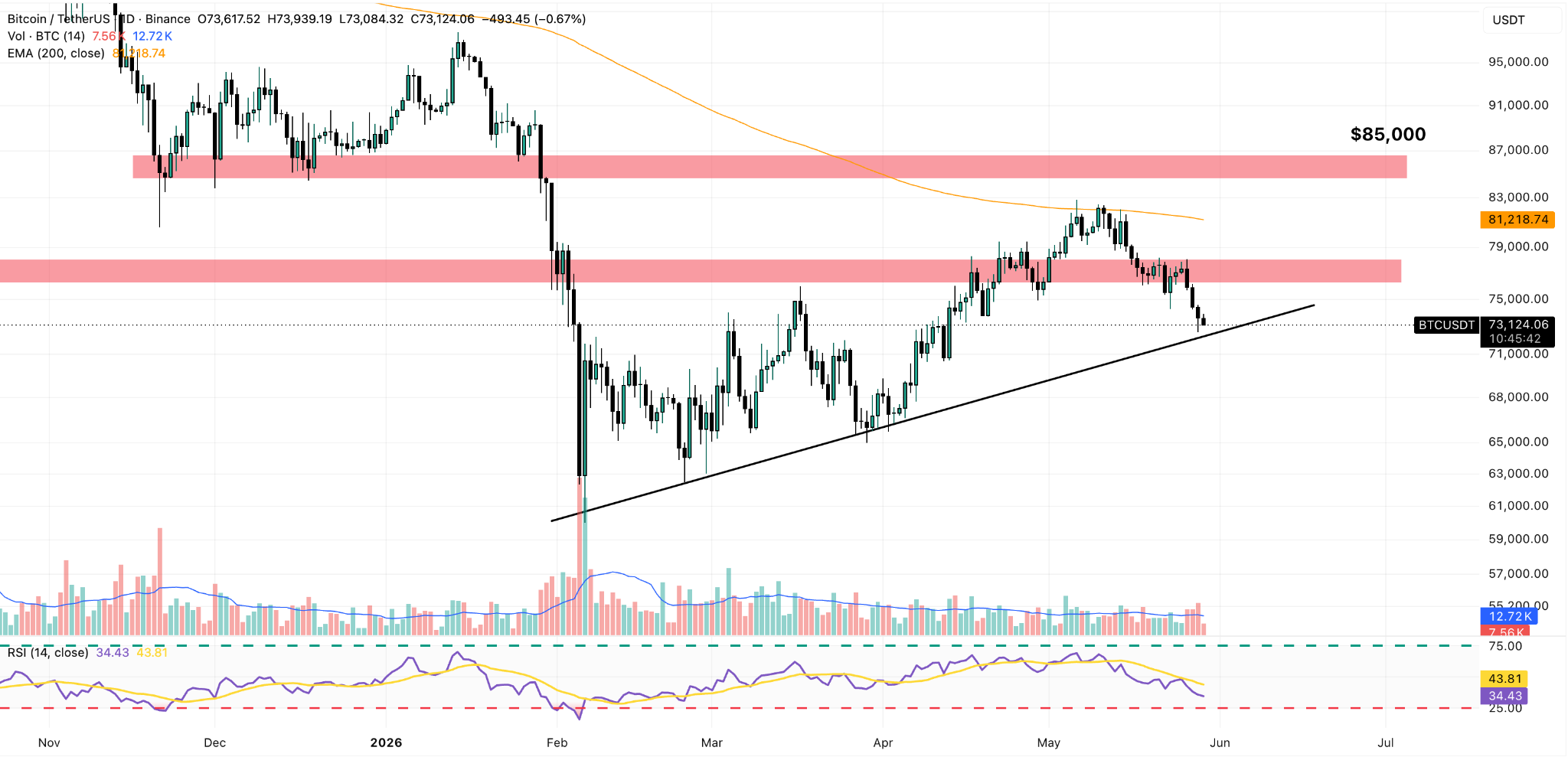 BTC/USDT Daily Chart